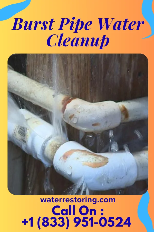 Burst Pipe Water Cleanup in Barada, NE