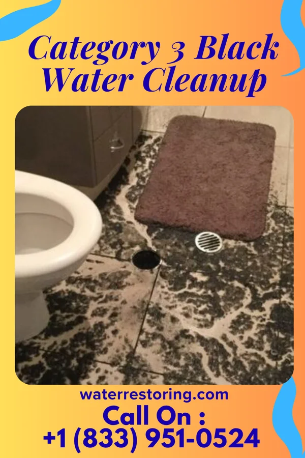 Category 3 Black Water Cleanup in Barada, NE