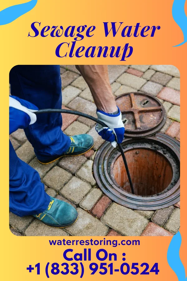 Sewage Water Cleanup in Barada, NE