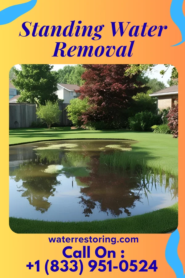 Standing Water Removal in Barada, NE